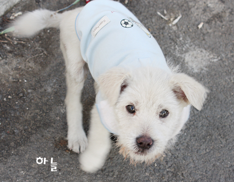 [D10-009관외] 위험천만한 공장에서 온 하늘이