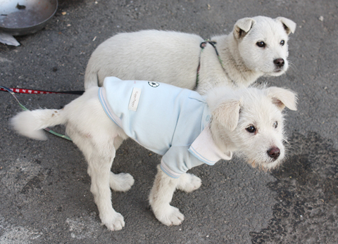 [D10-009관외] 위험천만한 공장에서 온 하늘이