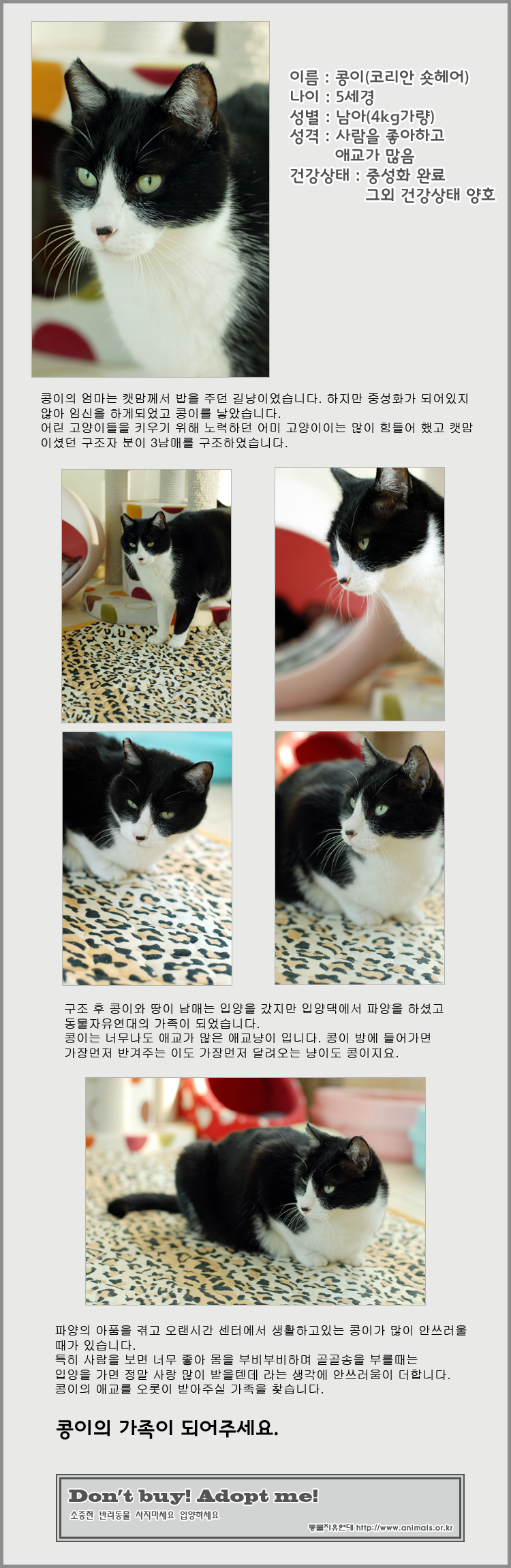 [D10-021관] 땅이와 남매 콩이