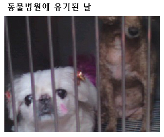 [D10-024관외] 페키니즈 코나