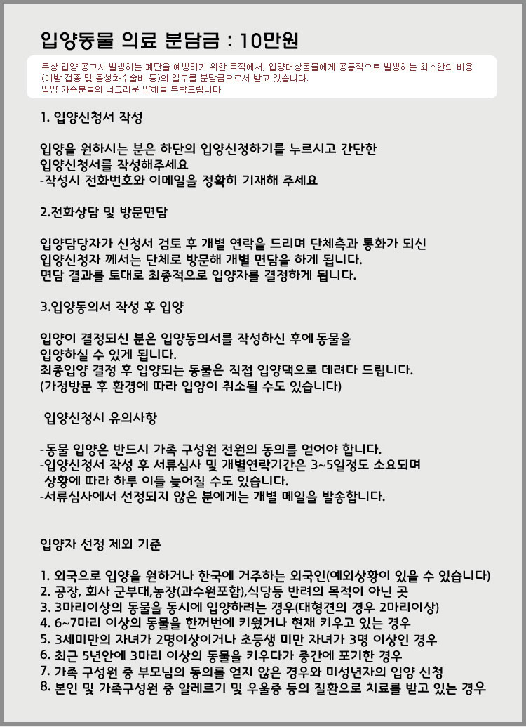 [D10-030관] 임신견? 베티^^