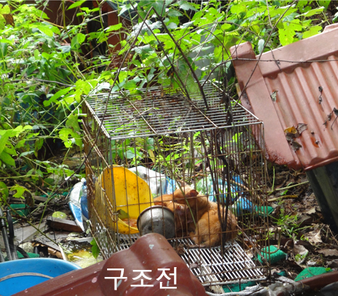 [D10-56관] 5개월된 담비와 태양