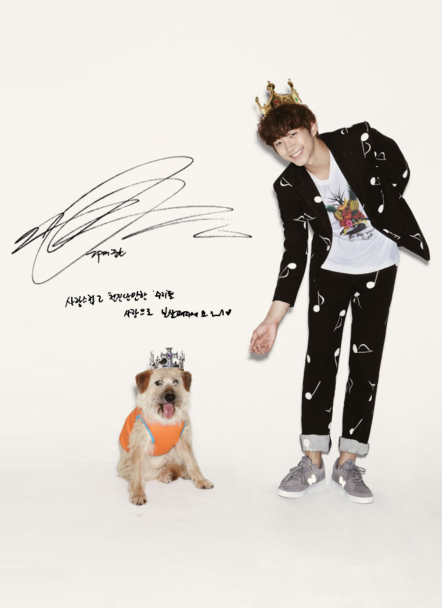 [D11-029관] TV동물농장방송- 영종도에서 구조 된 어린천사들