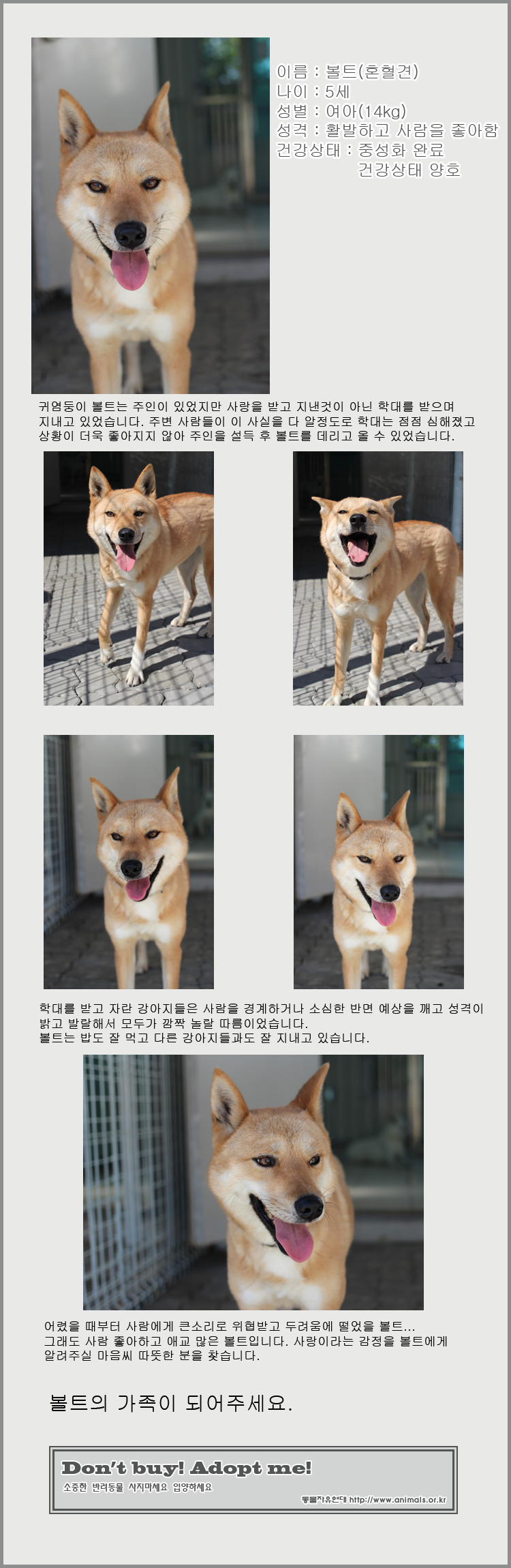 [D11-68관] 한 번 보면 사랑에 빠지지 않을 수 없는 마력의 소유자 볼트!!