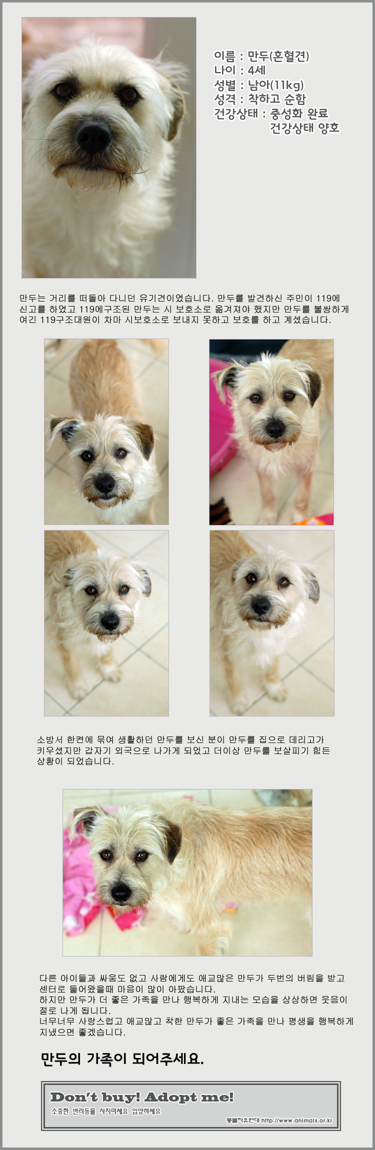 [D11-092관] 우당탕탕!! 하루 종일 장난 치기 바쁜 만두!