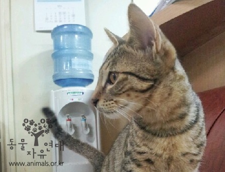 [D11-106관외] 교회 지하실에서 보호받고 있는 미야