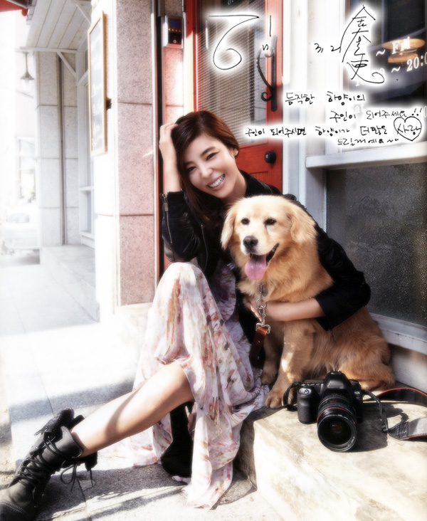 [D11-110관] 군견 생활을 하고 다시 온 리트리버 혼혈 하양이