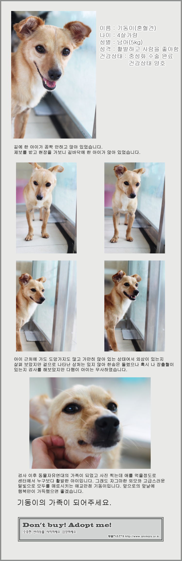 [D11-127관] 교통사고를 당하고 길바닥에 누워있던 기동이