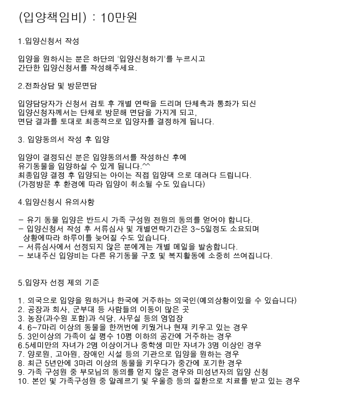 [D13-46관]동네를 떠돌던 들개 무리에서 구조된 아기강아지 콩이