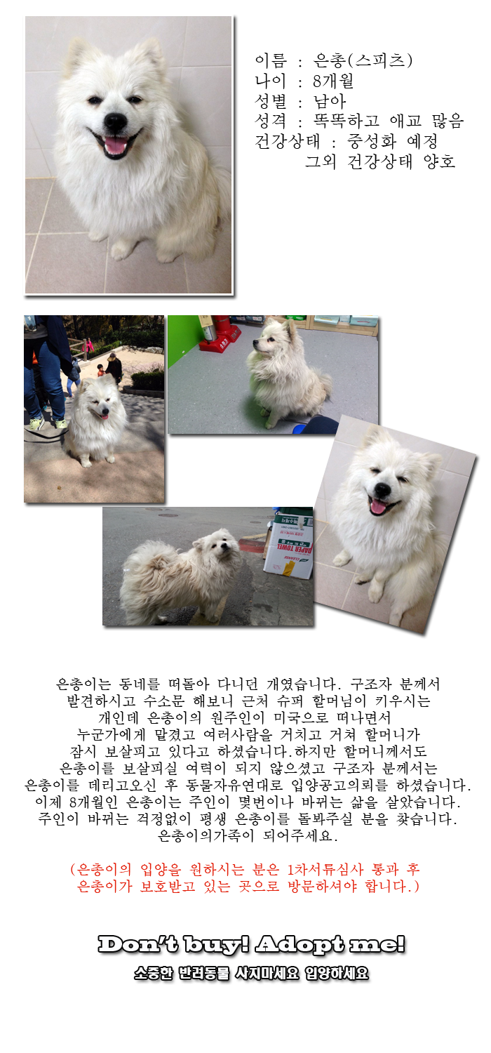 [D14-11관외]미국으로 가면서 버리고간 은총이