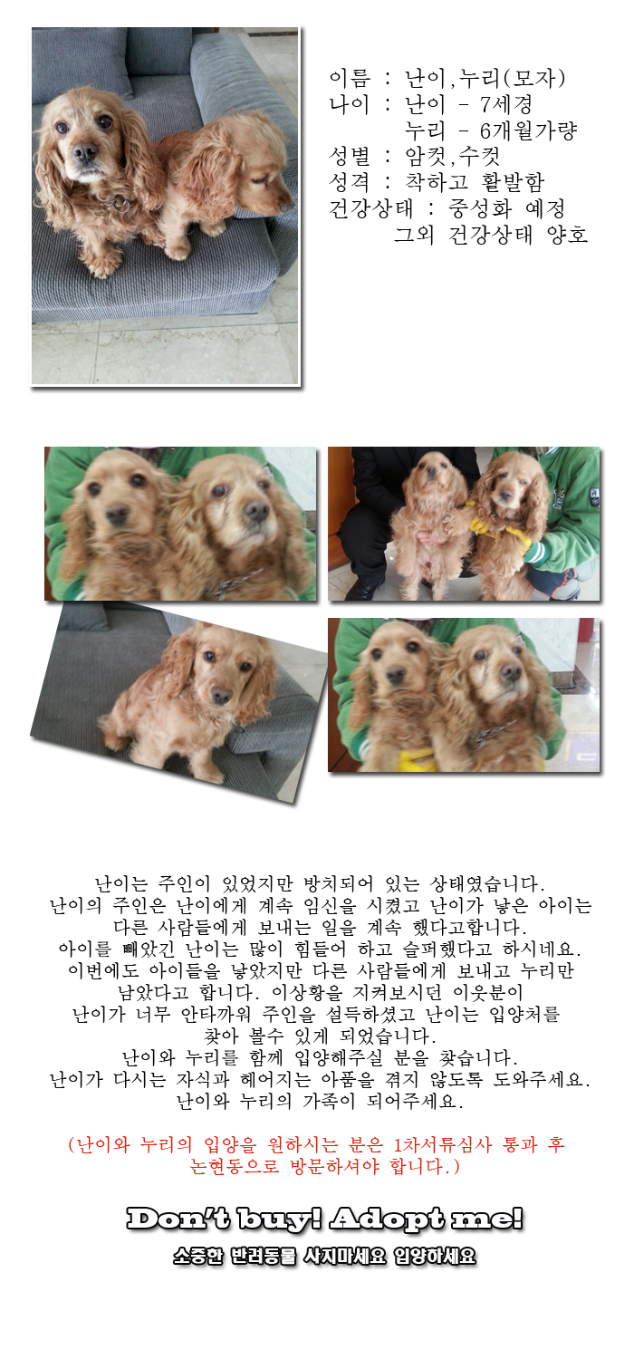 [D14-13관외] 방치된체 아이만 출산하던 난이