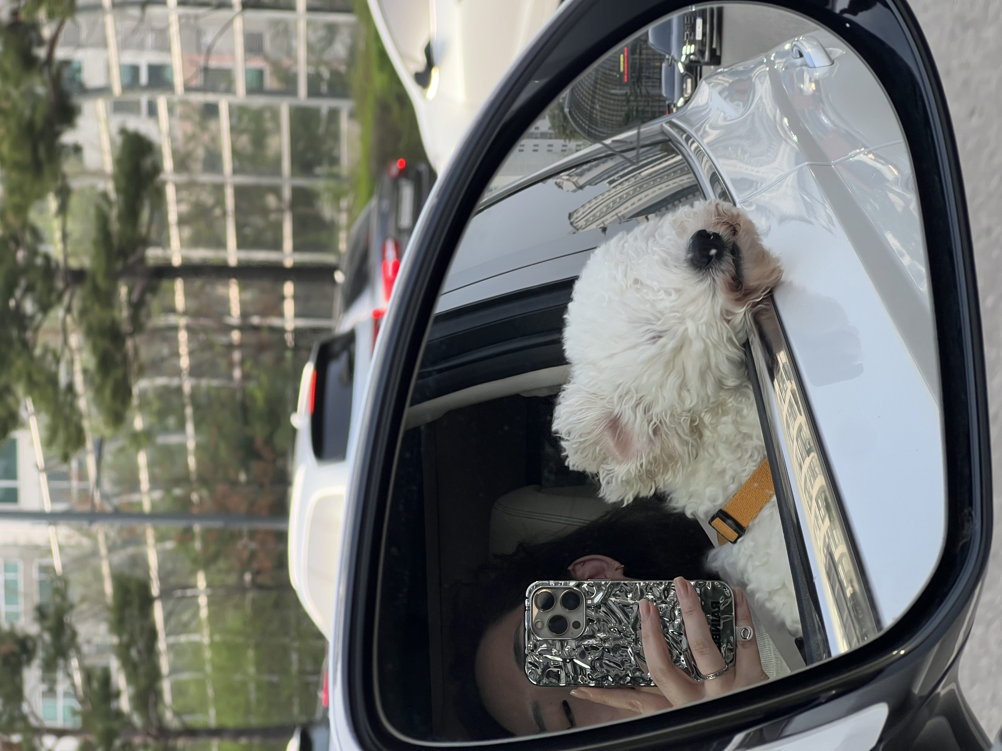 [동키/보령-99] 하남이 생일이 돌아왔어요!