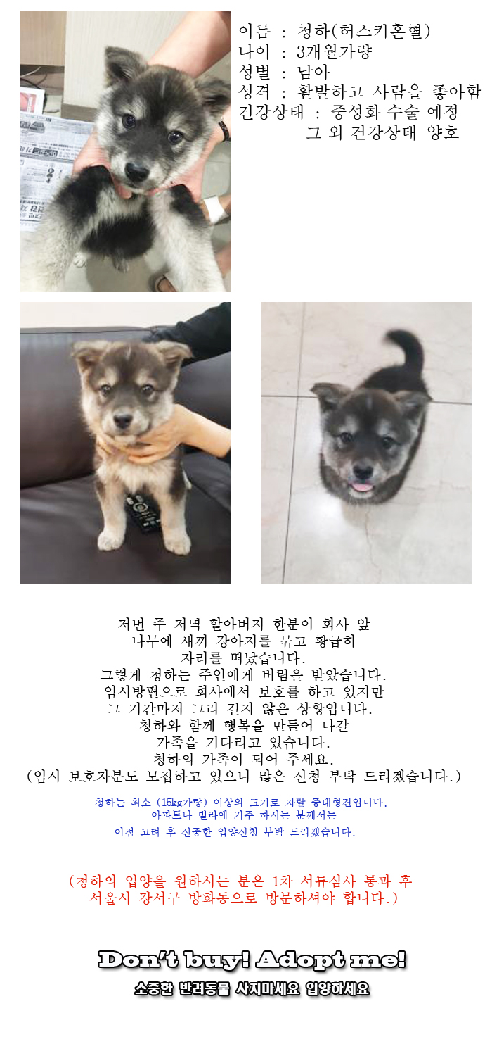 [D16-15관외]나무에 묶여 버려진 청하