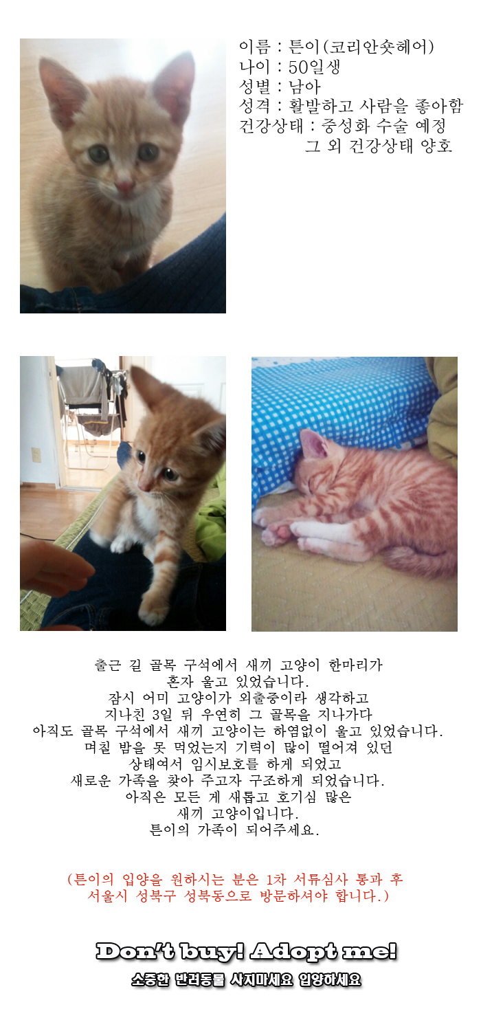 [D16-16관외]골목 구성에서 울고 있던 튼이