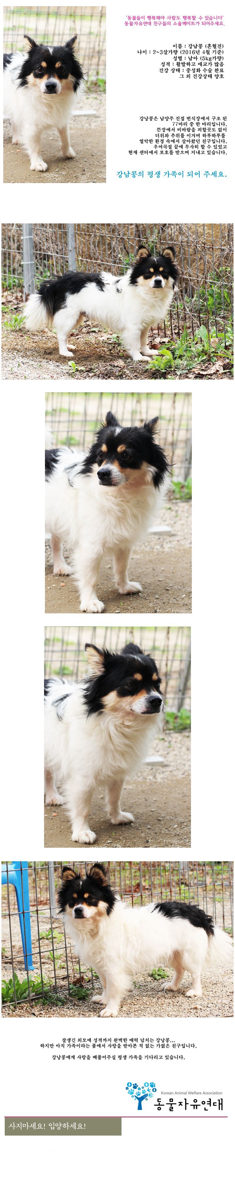 [D16-36관]가족의 품을 애타게 기다리는 강낭콩