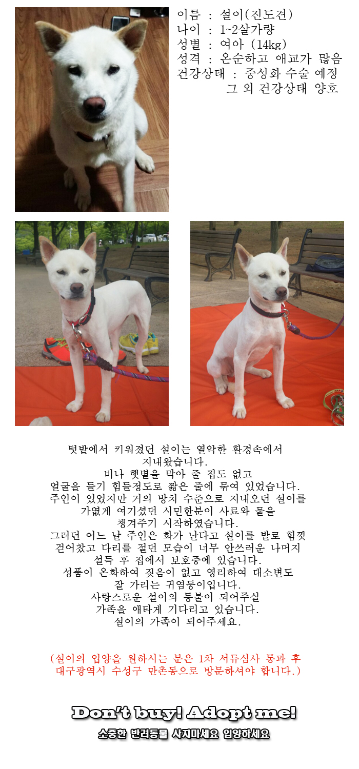 [D16-19관외]열악한 환경에서 지내온 설이