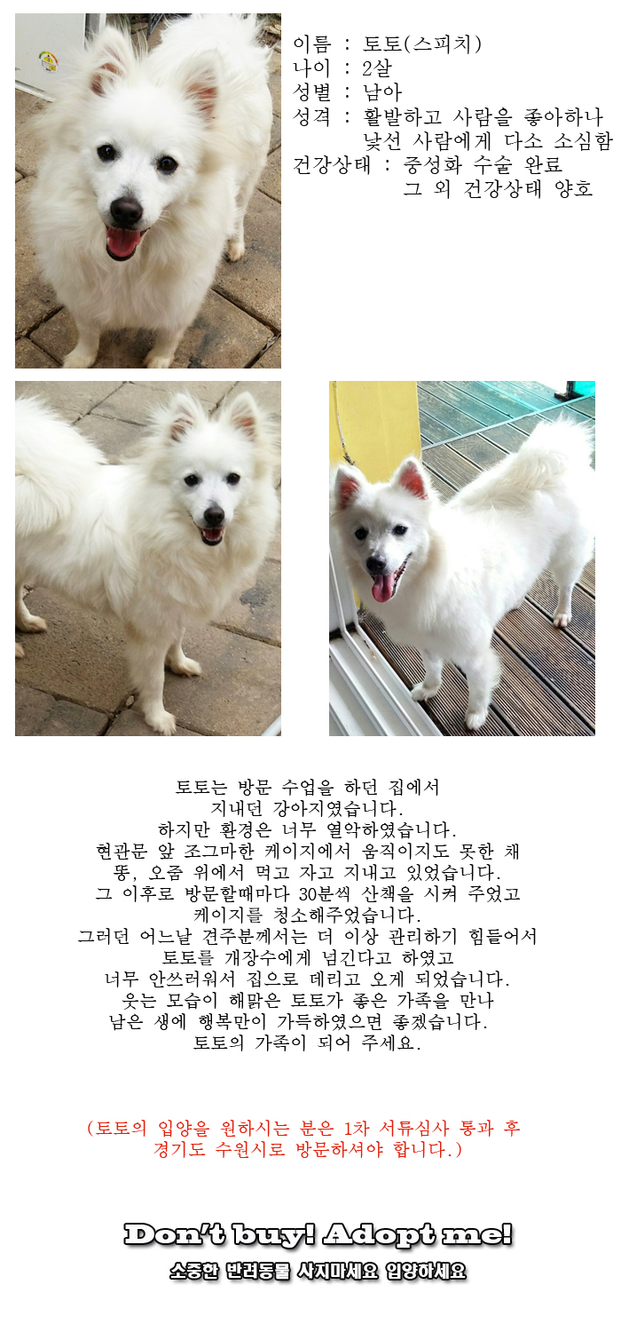 [D16-24관외]열악한 환경에서 지내던 토토