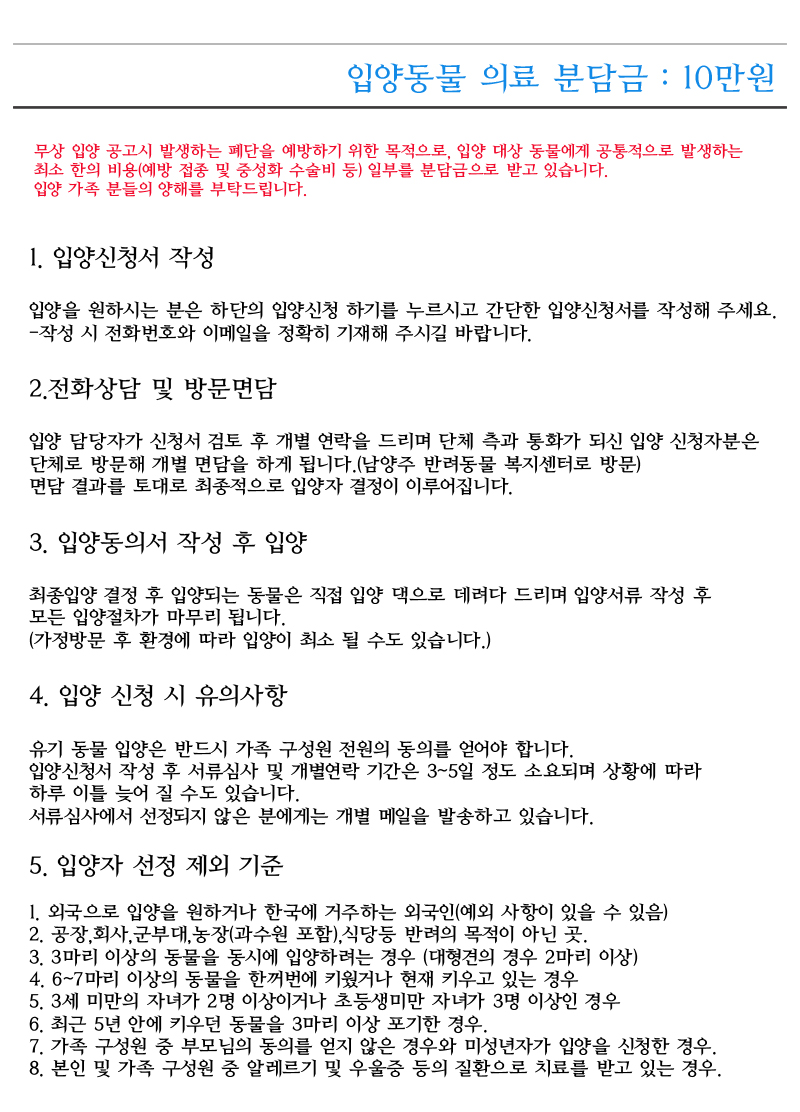 [D16-26관외]카라와 호동이의 평생가족이 되어주세요.