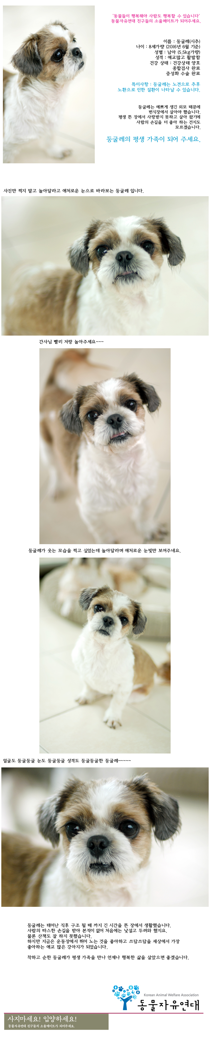 [D16-42관]번식장에서 구조된 둥굴레(임시보호중)