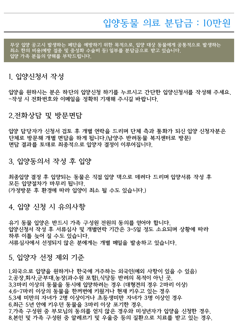 [D16-28관외]사랑스런 애교냥이 순이