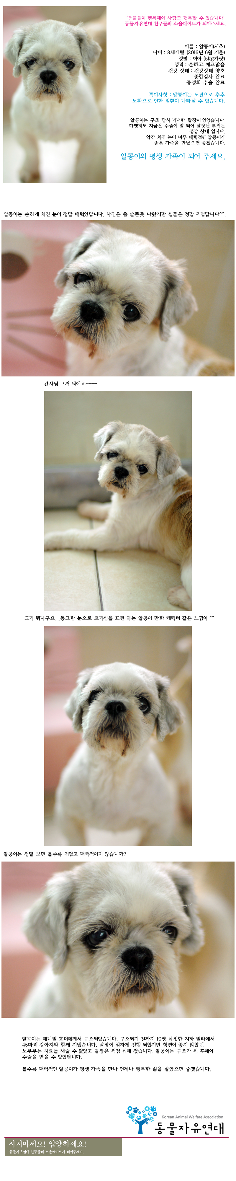 [D16-44관]볼수록 매력적인 알콩이