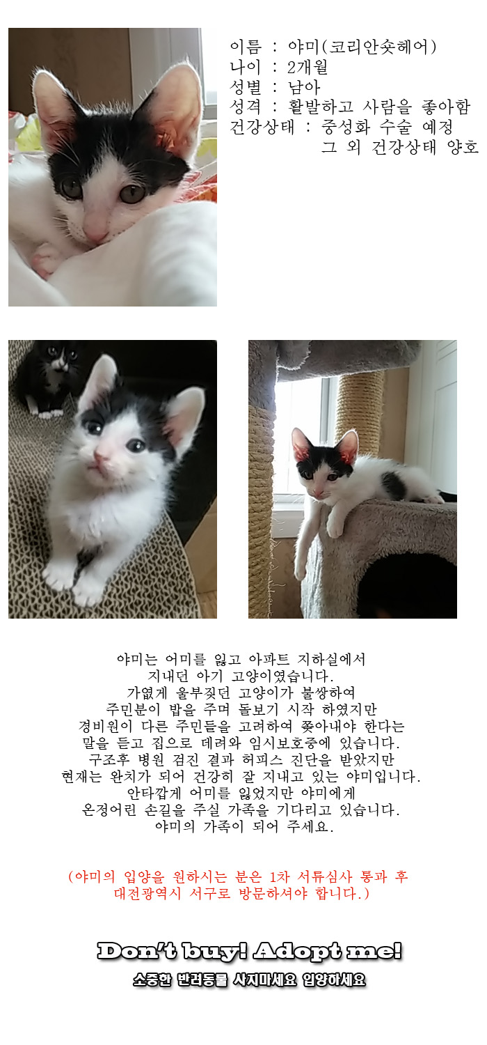 [D16-32관외]아파트 지하실에서 울부짖던 야미