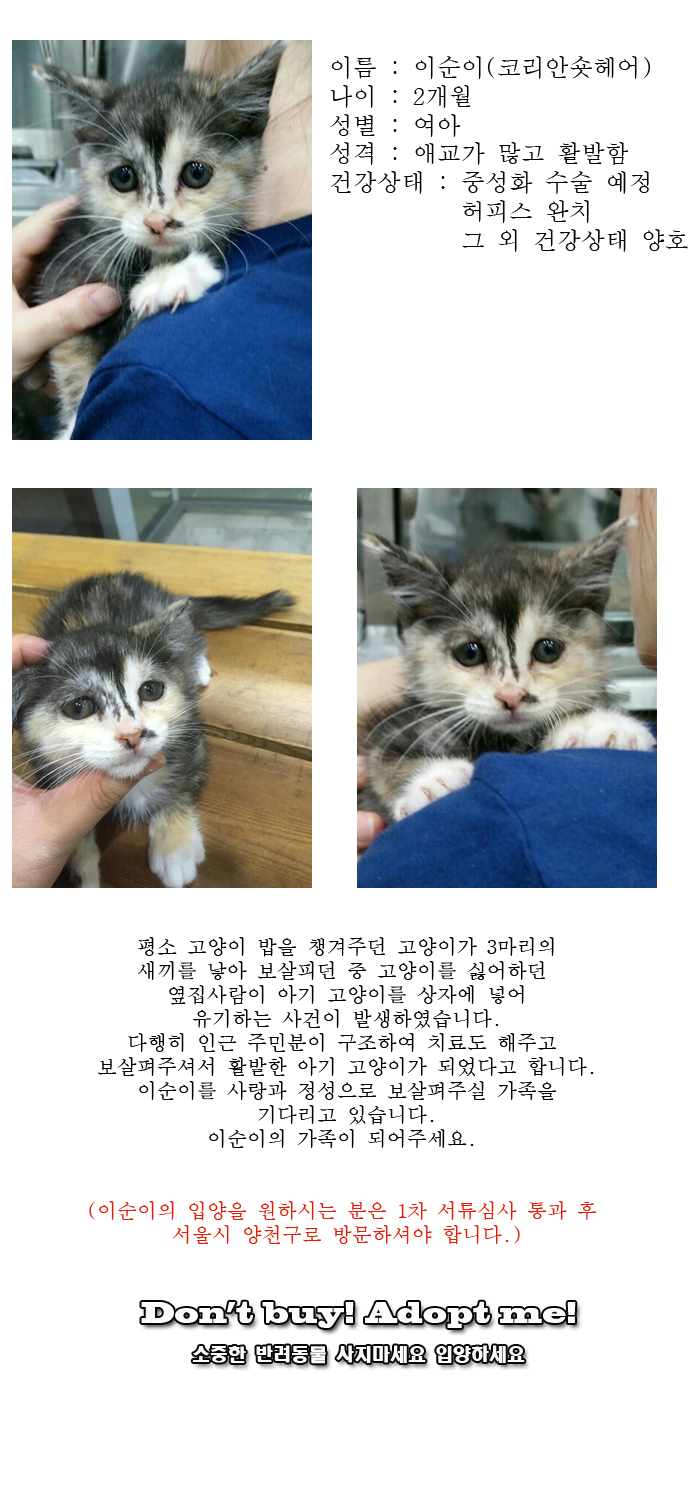[D16-33관외]상자 안에 유기되어있던 이순이