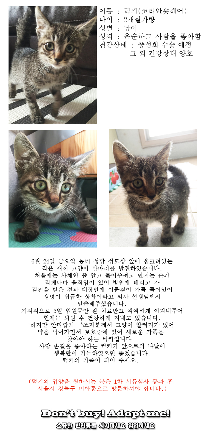 [D16-43관외]생명이 위급했던 럭키