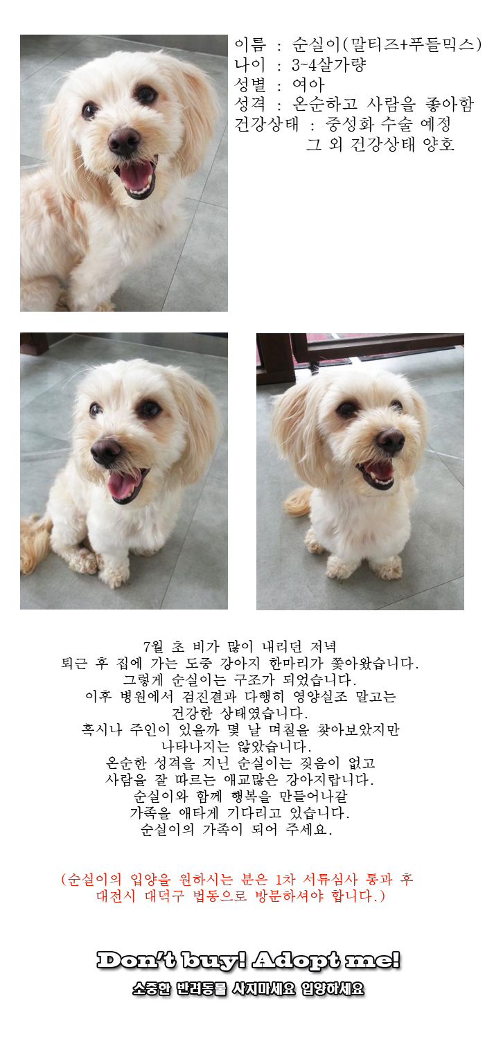[D16-46관외]비를 맞으며 길에서 배회하던 순실이