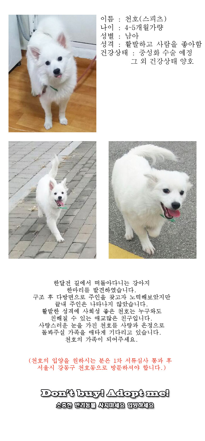 [D17-02관외]길에서 떠돌아다니던 천호
