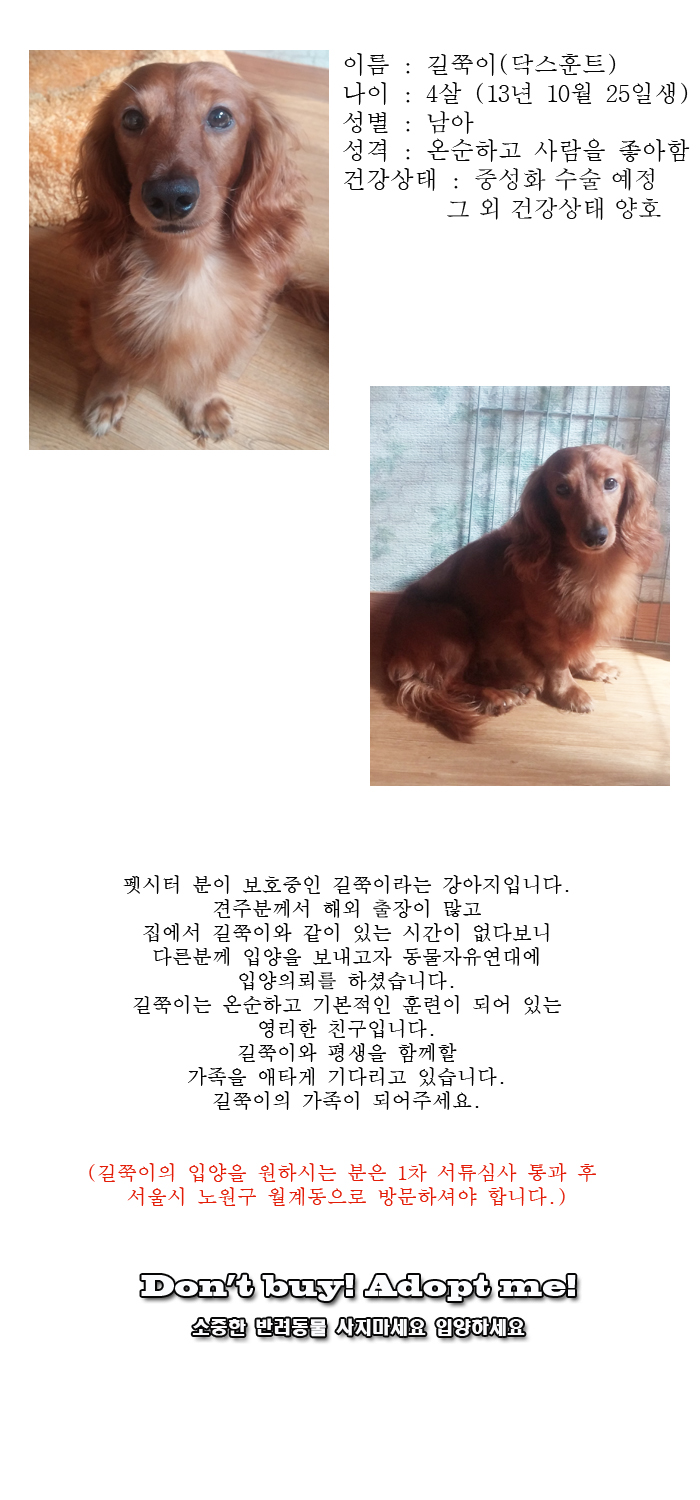 [D17-88관외]온순하고 영리한 길쭉이