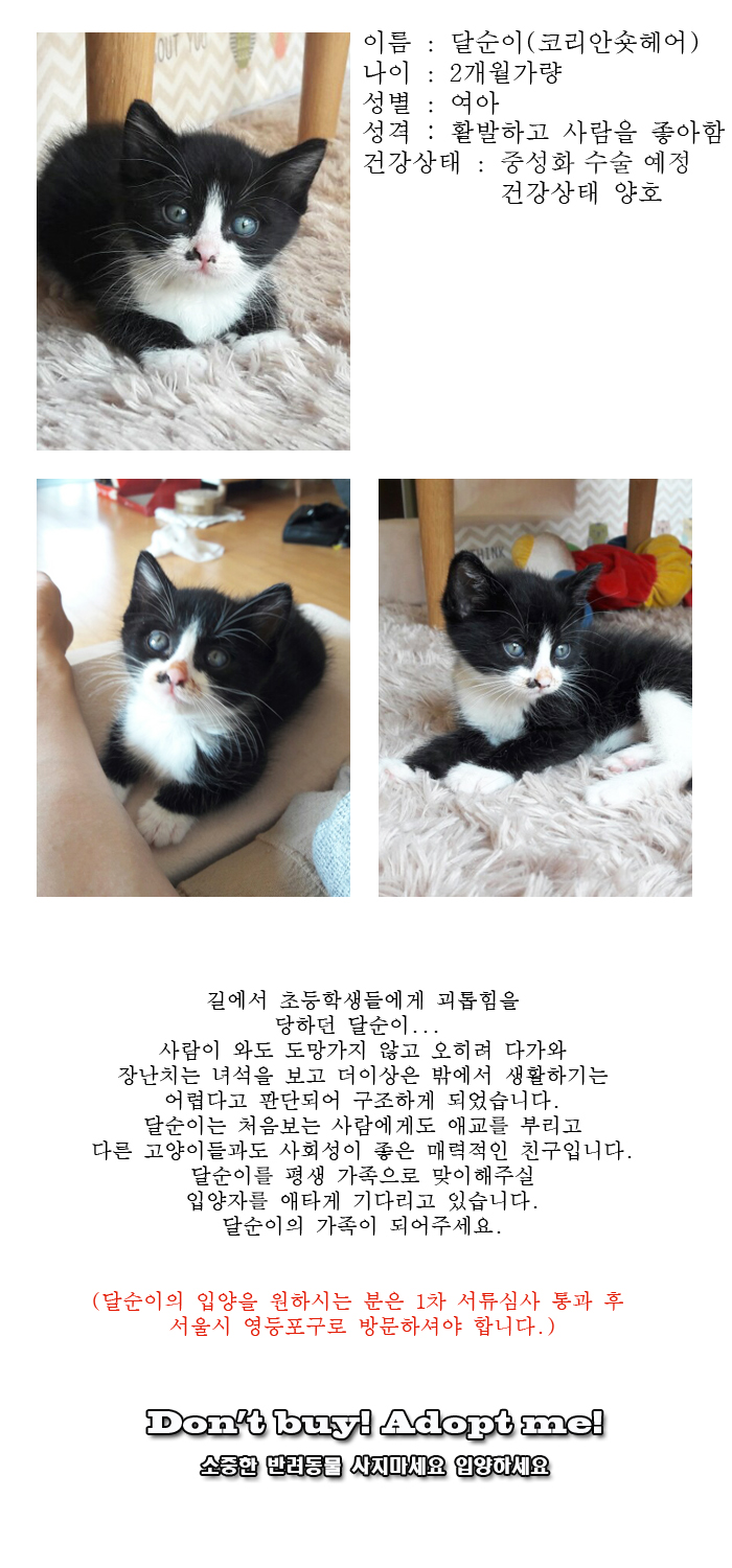 [D17-89관외]길에서 괴롭힘을 당하던 달순이