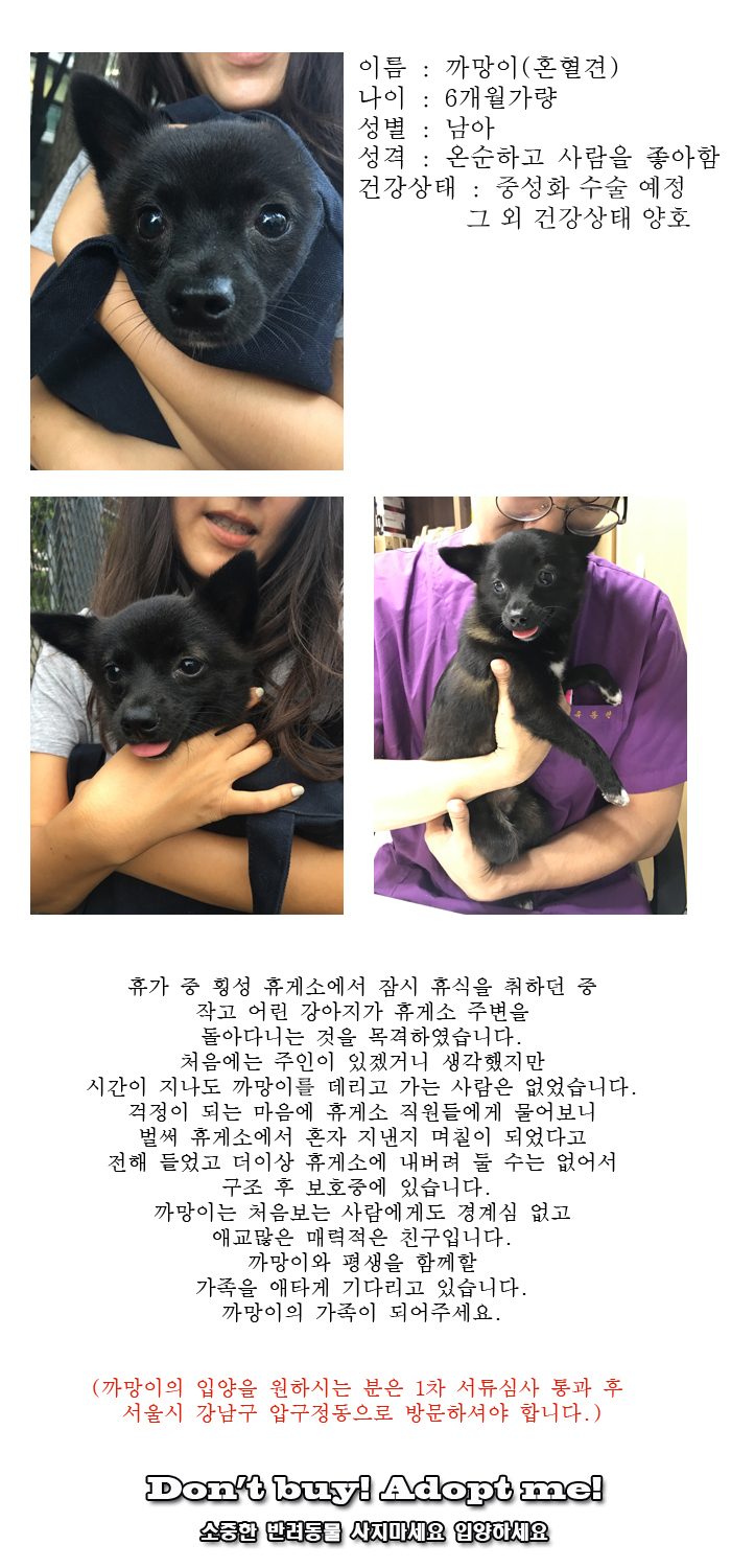 [D17-100관외]고속도로 휴게소에 버려진 까망이