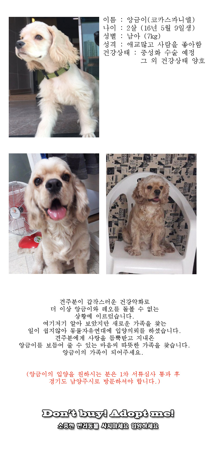 [D17-112관외]밝고 명랑한 앙금이