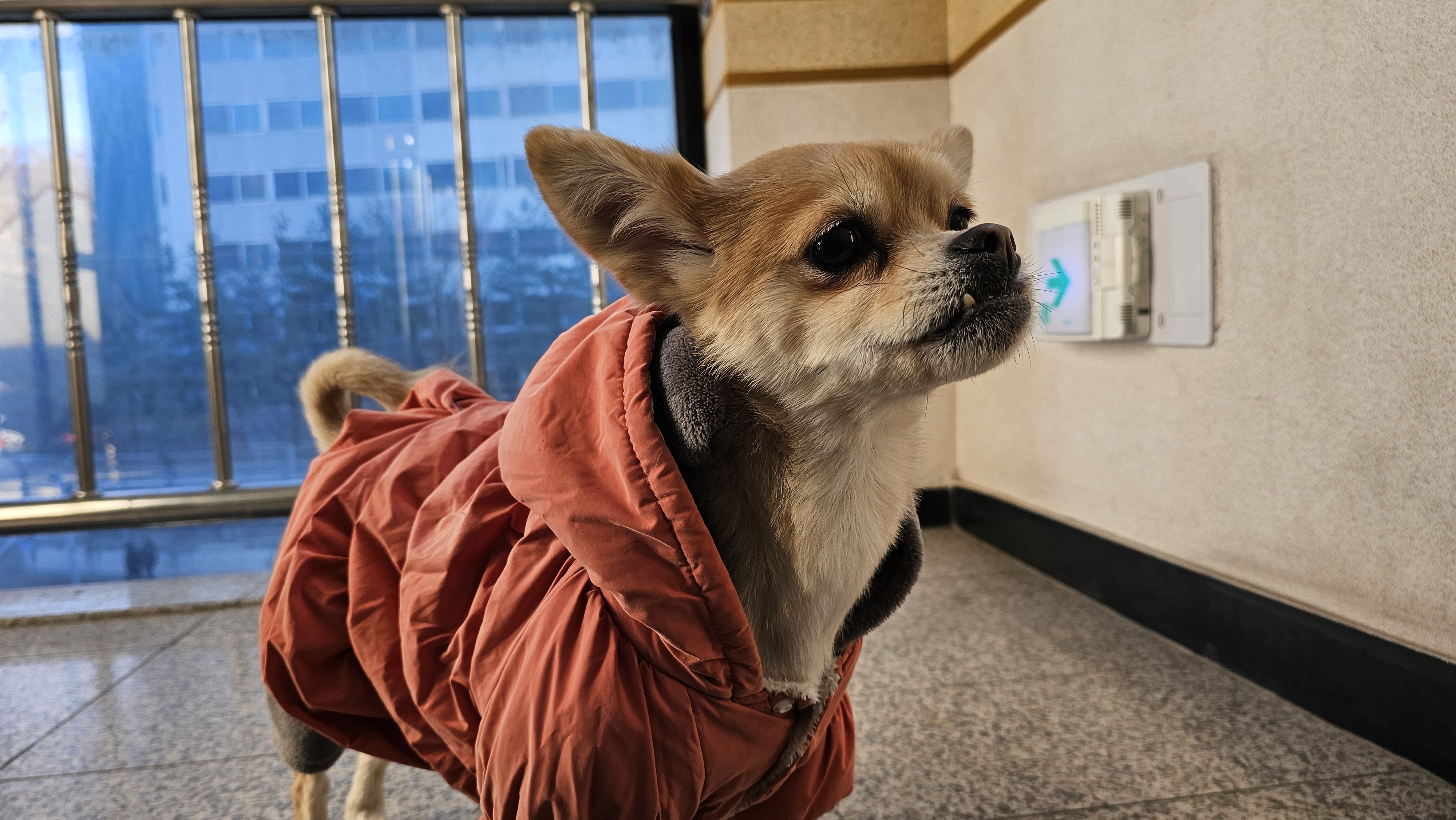 미로(구 오원) 3년 이야기