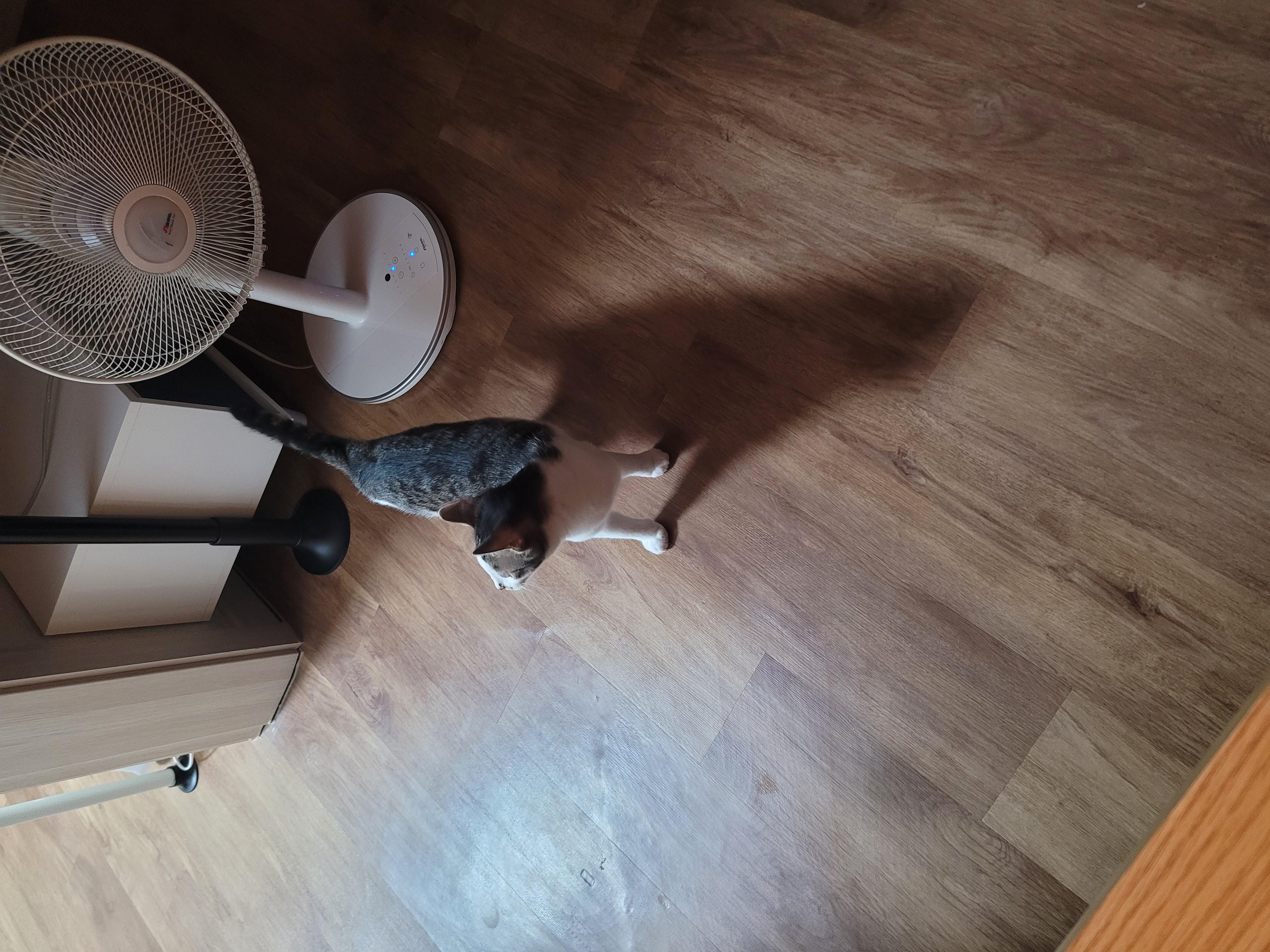 우동이 3개월 이후