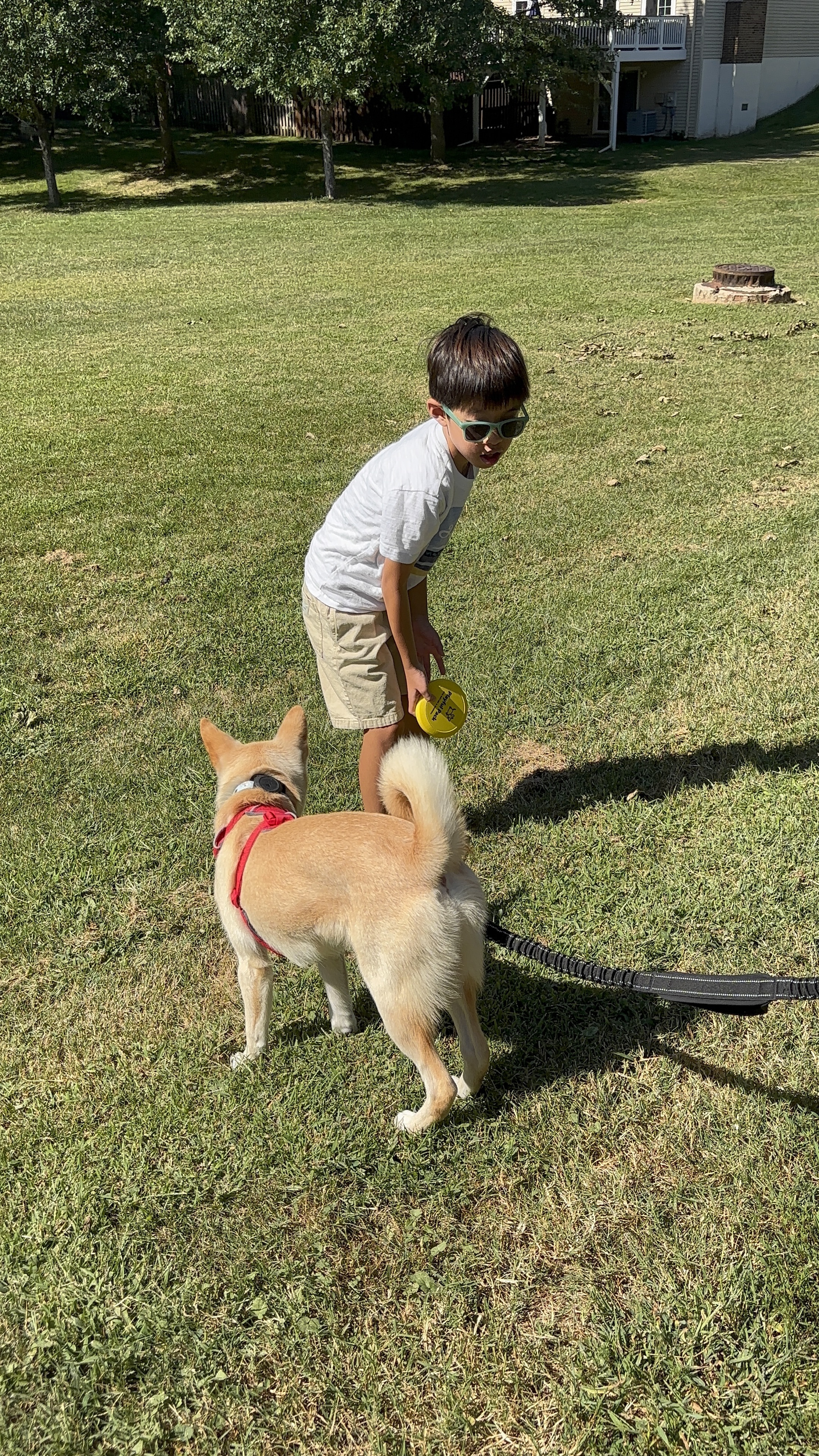[해외입양] 미국 워싱턴에서 전해온 '영돌이' 소식