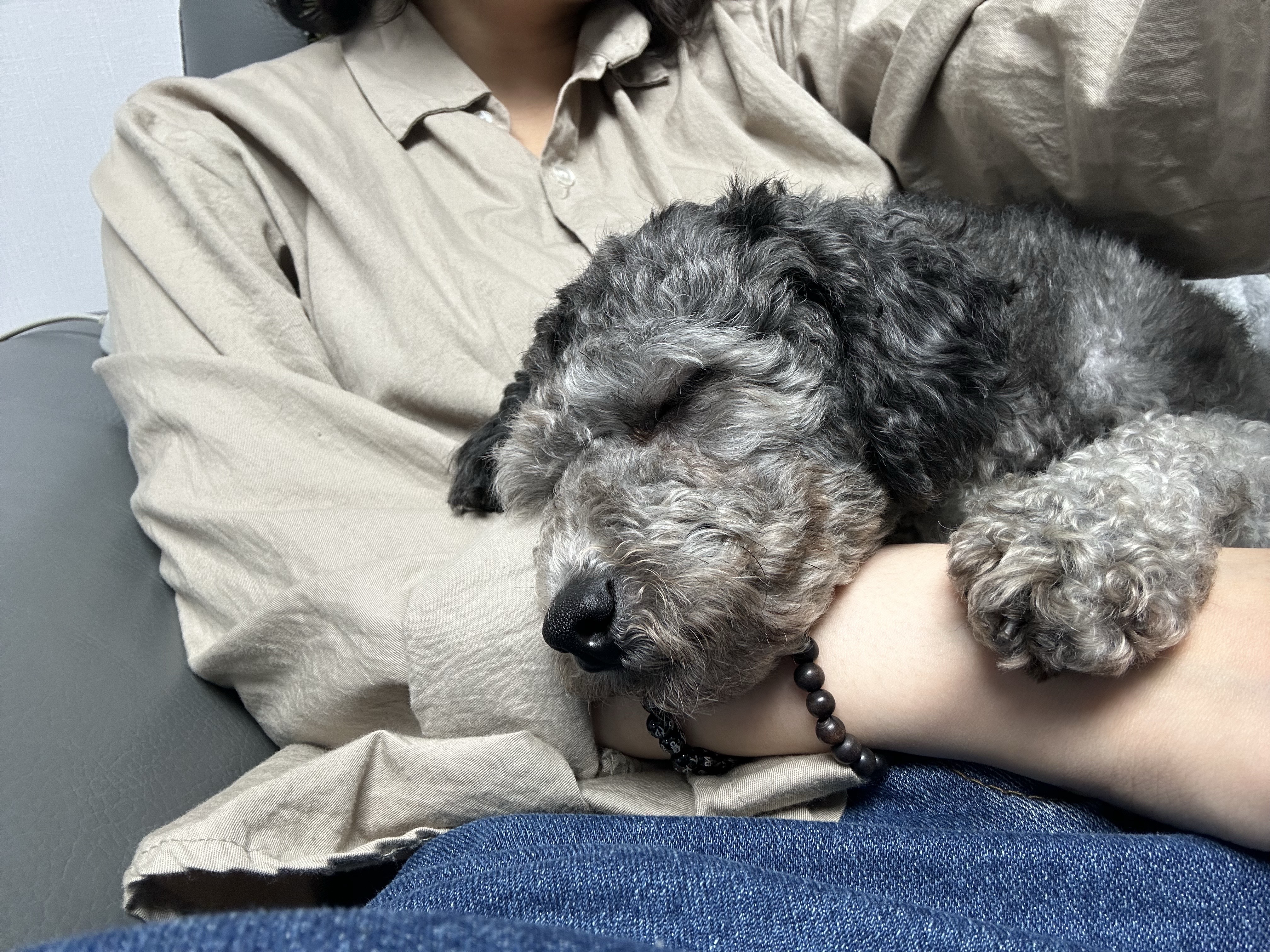 1주일 | 보미의 적응기