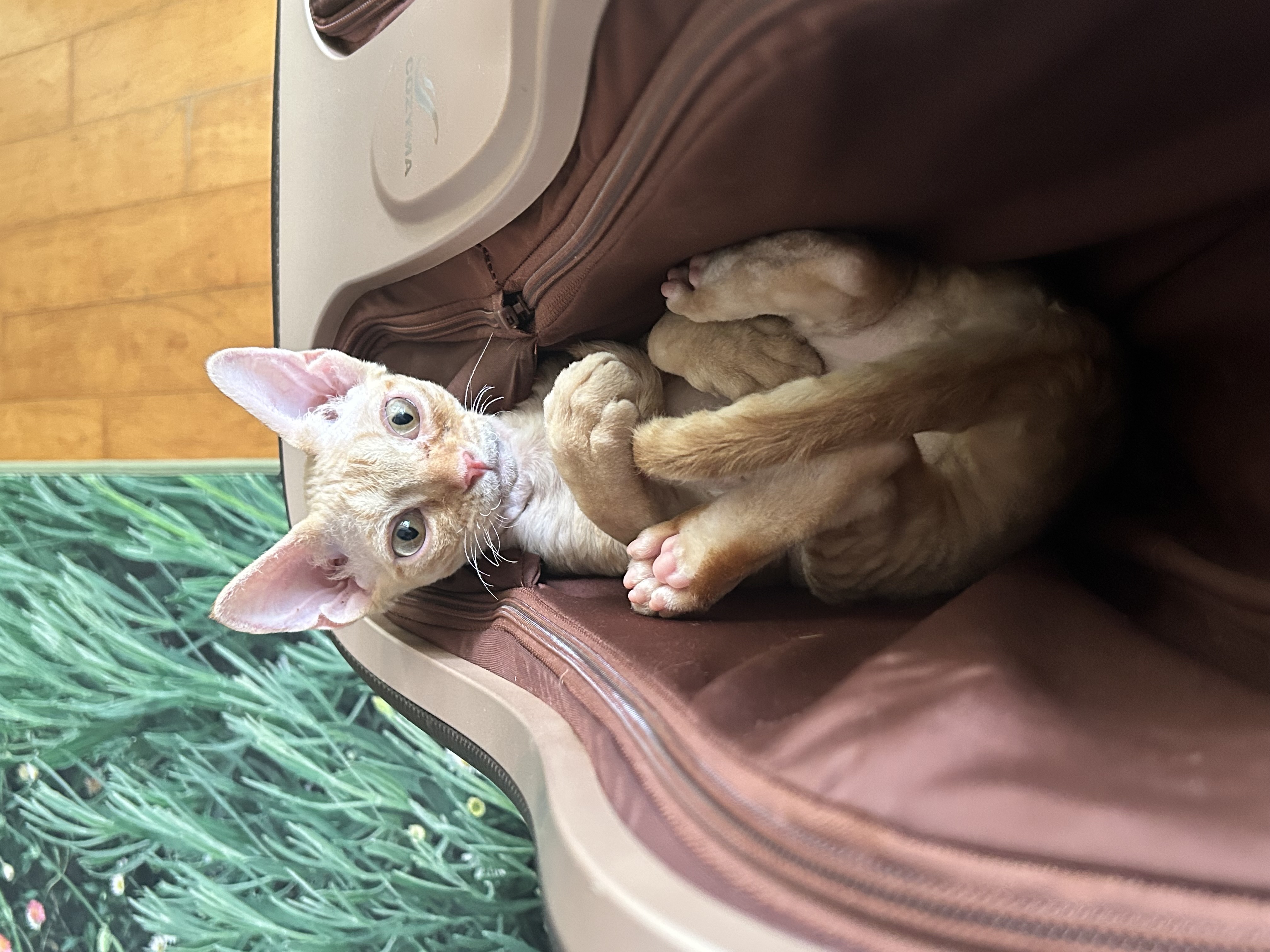 복만이(던노)가 막내가 된지 3개월🤭