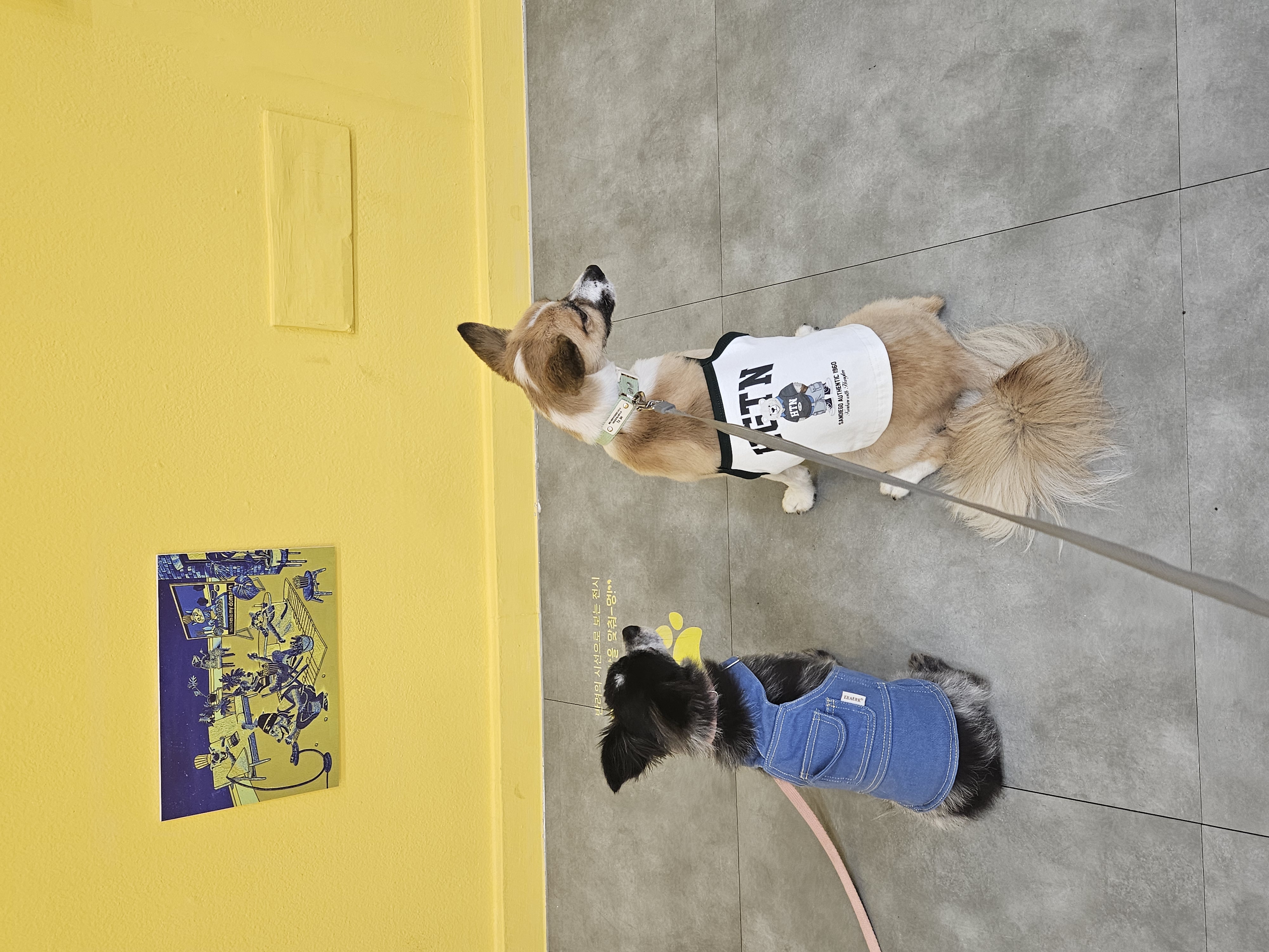 벼리(은오)5년차입니다~♡