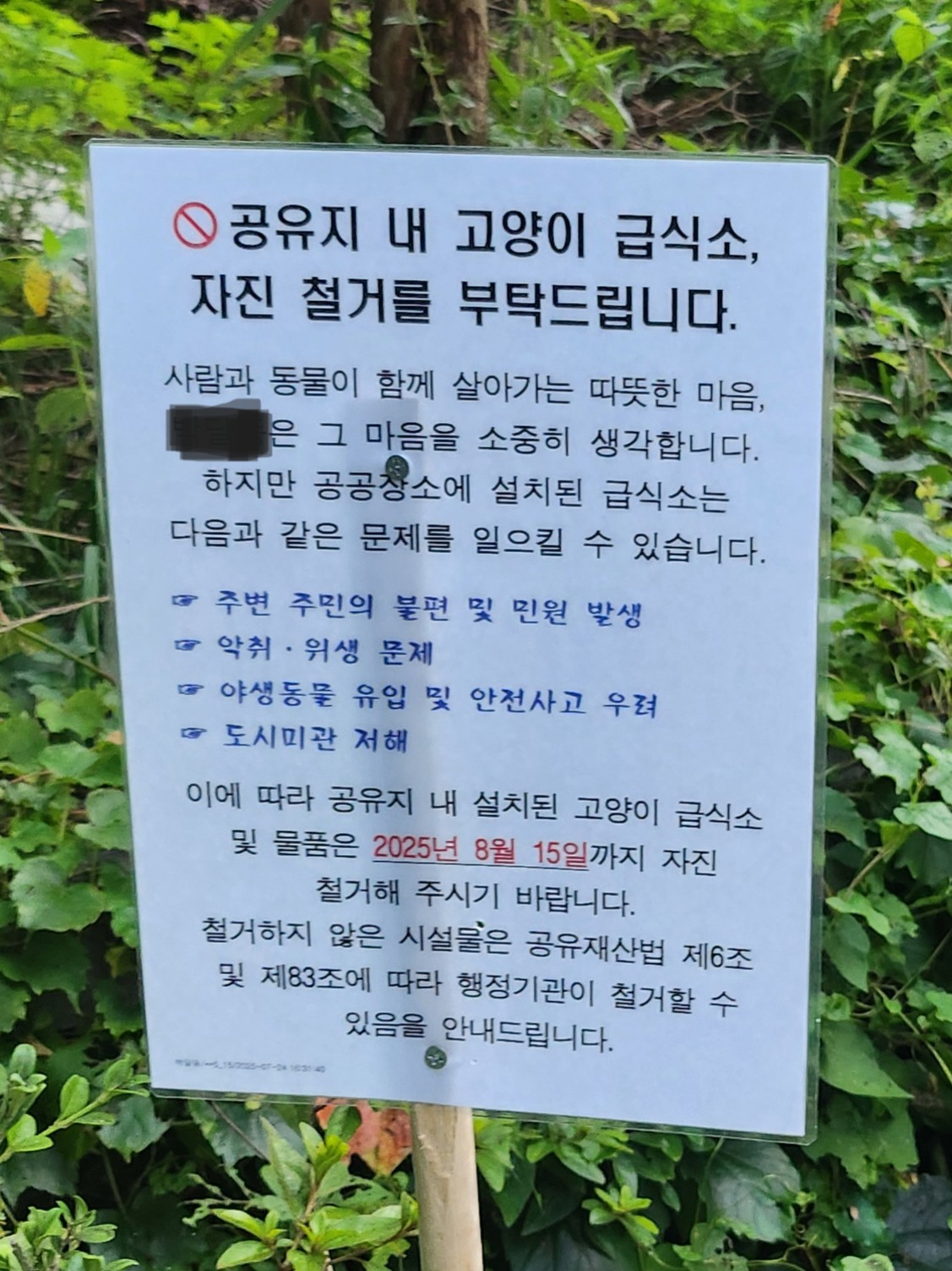 길고양이 집과 관련한 민원에 대해 자문을 구합니다. 