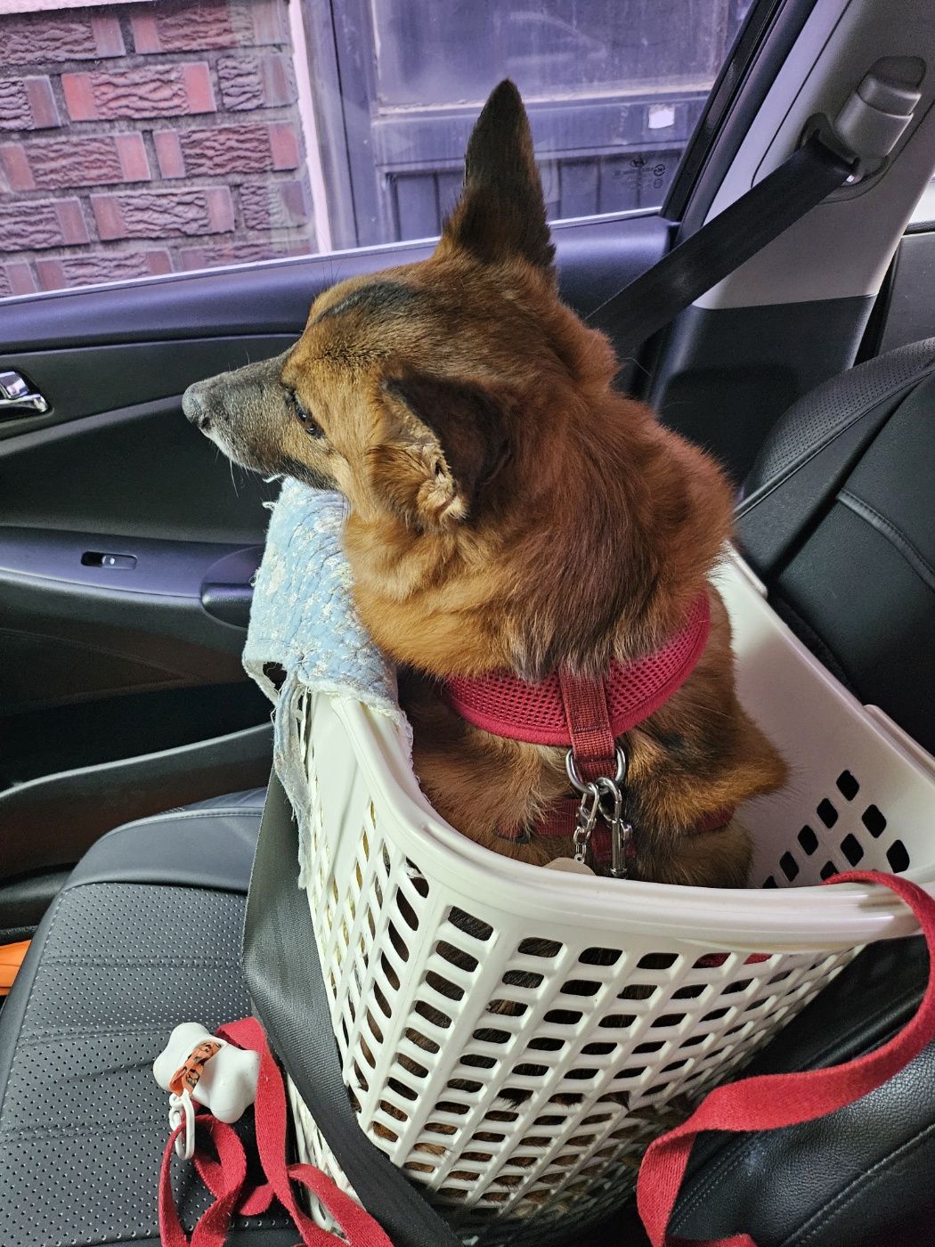 리카 새해인사드립니다.