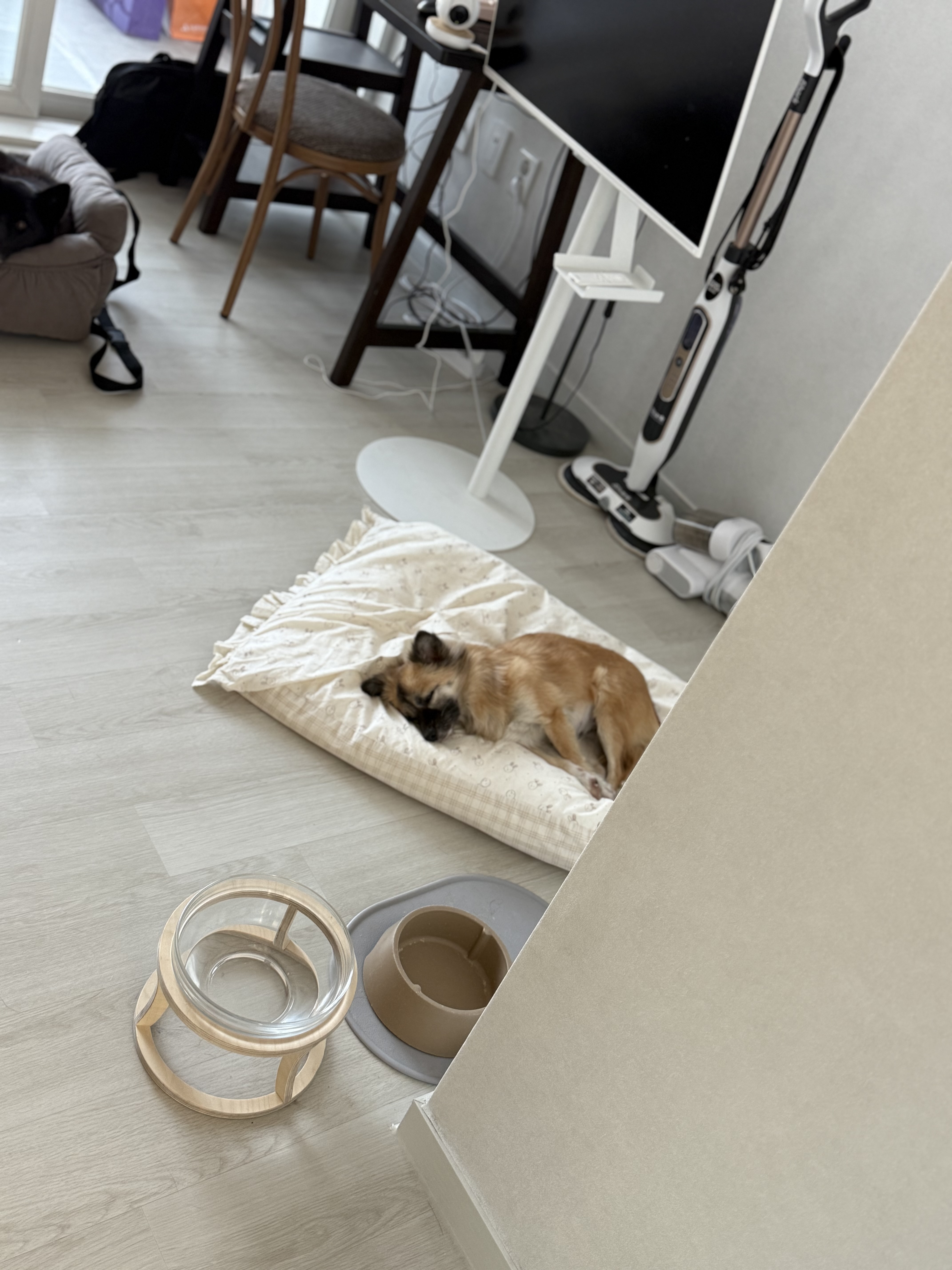 반달이이와 케일이의 집생활