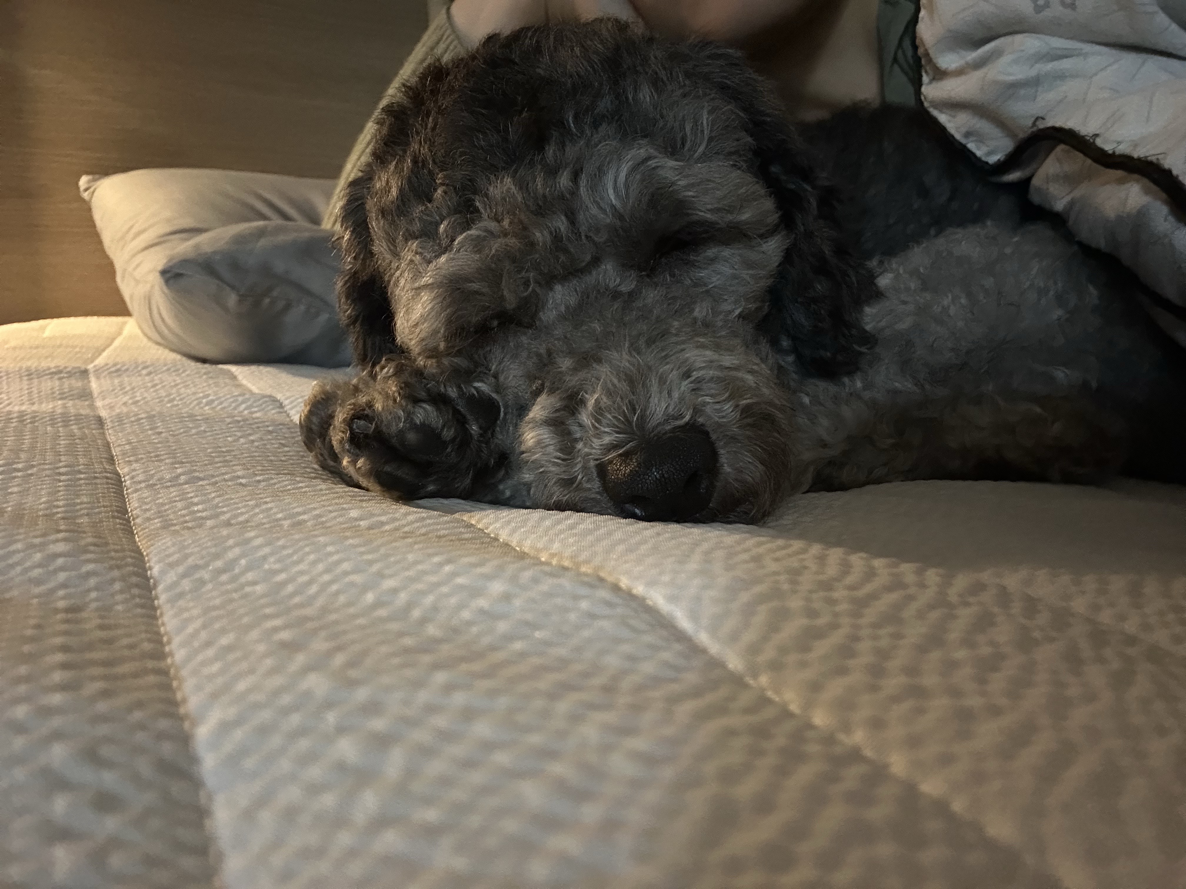 1주일 | 보미의 적응기