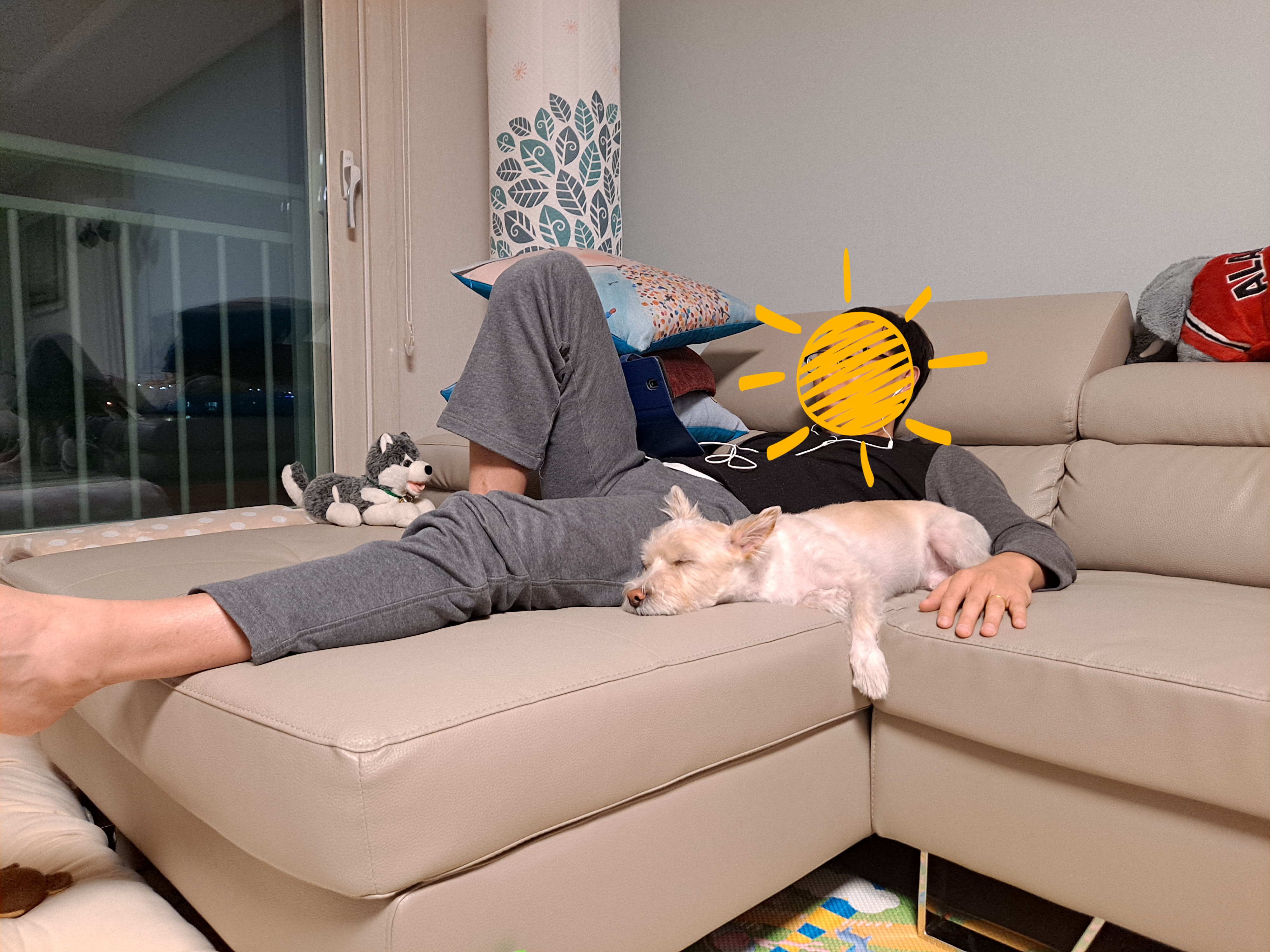 조이(제이) 입양 한달 후기