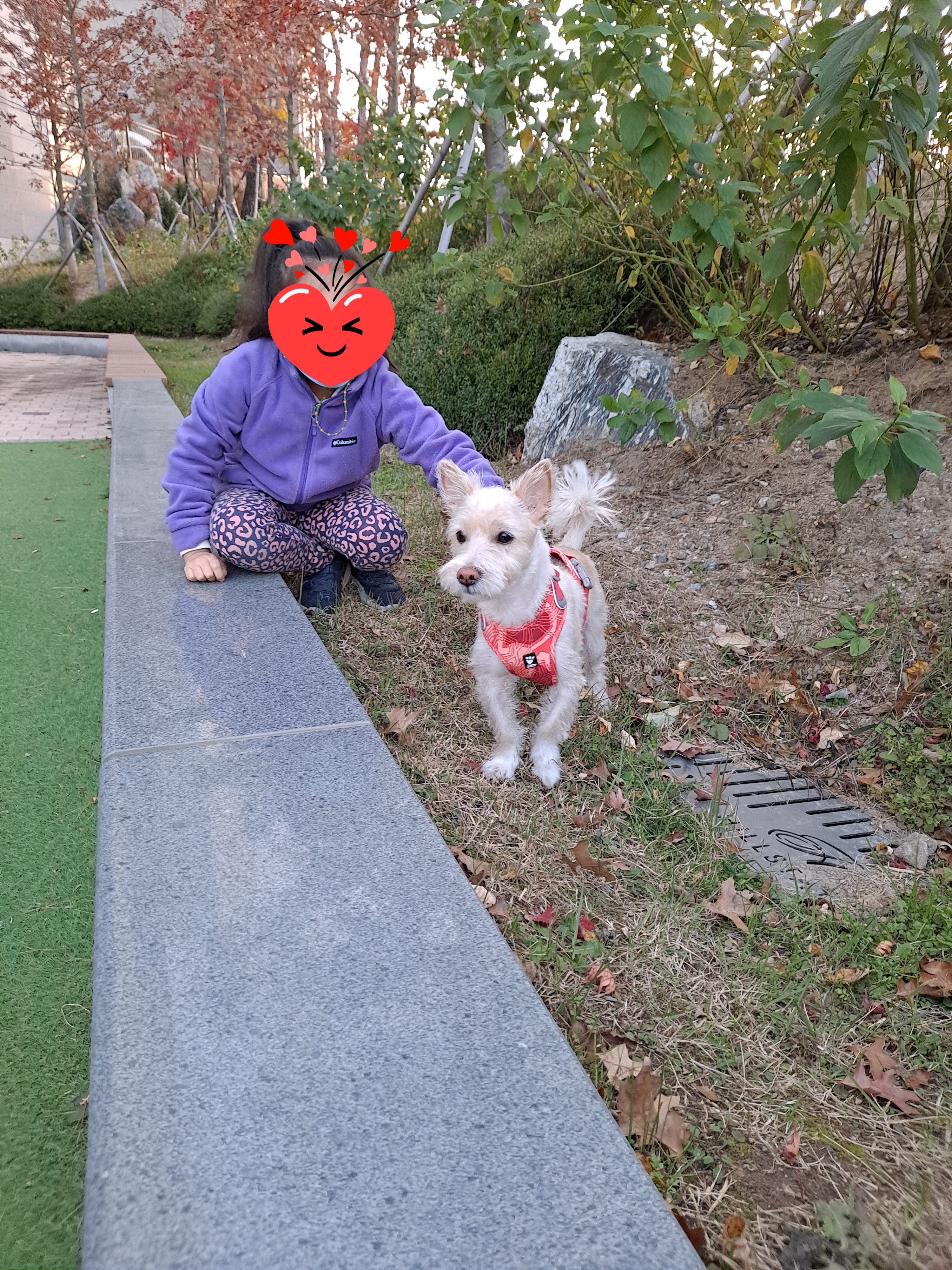 조이(제이) 입양 한달 후기