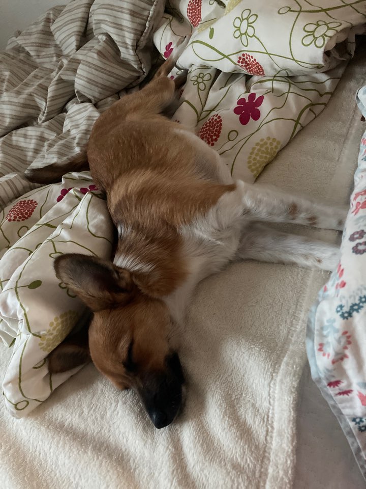 보나(은일이) 3개월+!!!