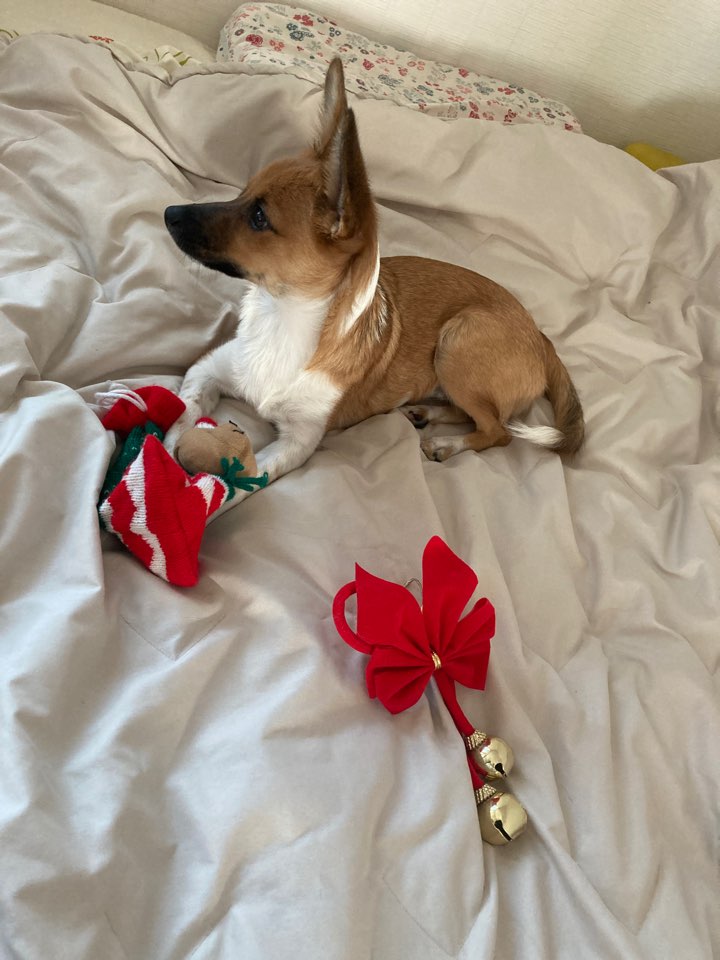 보나(은일이) 3개월+!!!