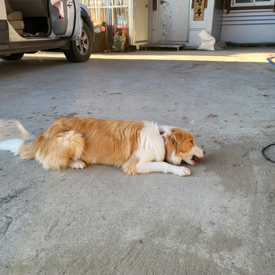 메이로렌이. 잘지내고 잇습니다~~!!