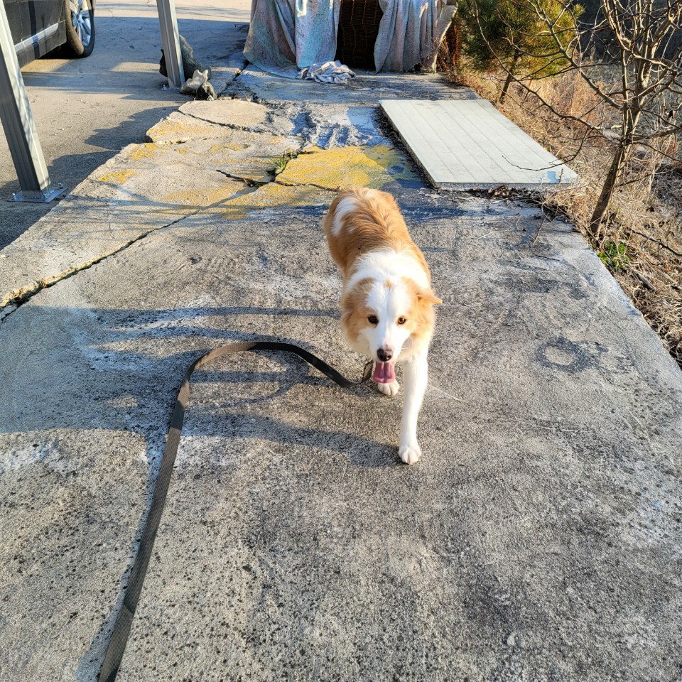 메이로렌이. 잘지내고 잇습니다~~!!